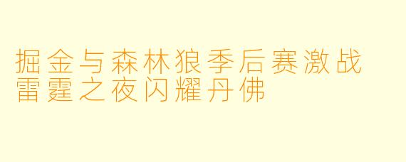 掘金与森林狼季后赛激战 雷霆之夜闪耀丹佛