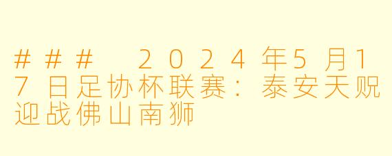 ### 2024年5月17日足协杯联赛：泰安天贶迎战佛山南狮