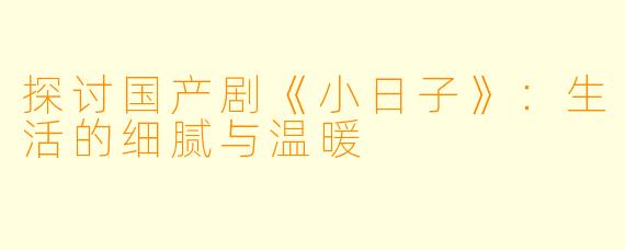 探讨国产剧《小日子》：生活的细腻与温暖