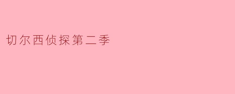 切尔西侦探第二季
