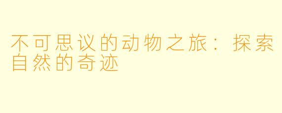 不可思议的动物之旅：探索自然的奇迹