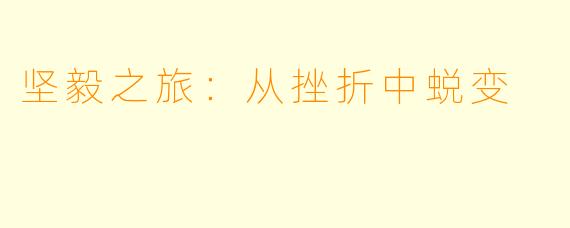 坚毅之旅：从挫折中蜕变
