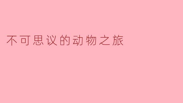 不可思议的动物之旅