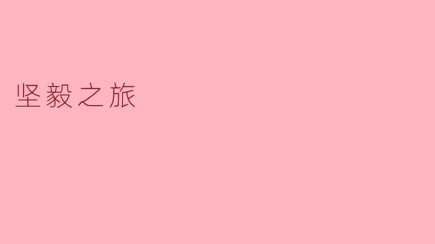 坚毅之旅