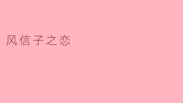 风信子之恋