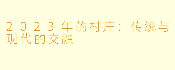 2023年的村庄：传统与现代的交融