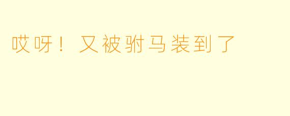 哎呀!又被驸马装到了