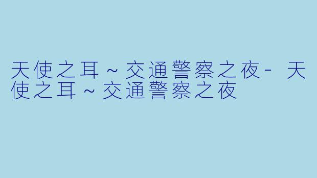 天使之耳~交通警察之夜