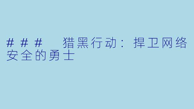 ### 猎黑行动：捍卫网络安全的勇士