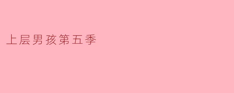 上层男孩第五季