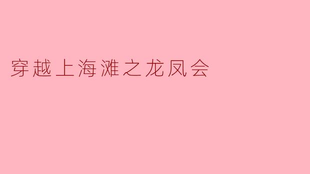 穿越上海滩之龙凤会