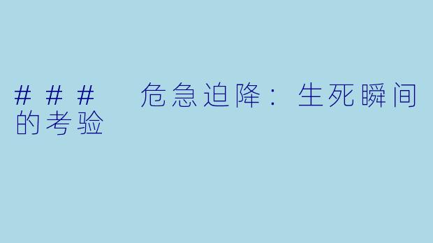 ### 危急迫降：生死瞬间的考验
