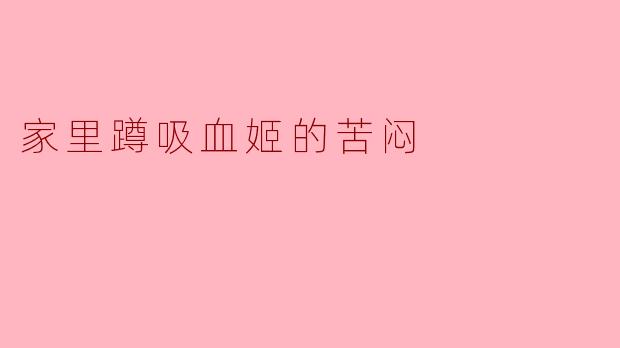 家里蹲吸血姬的苦闷