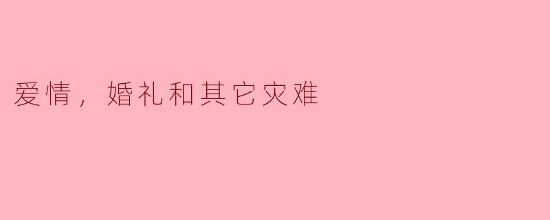 爱情，婚礼和其它灾难