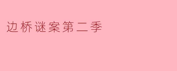 边桥谜案第二季