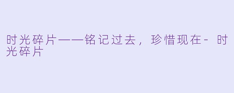 时光碎片——铭记过去,珍惜现在