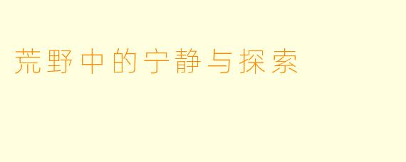 荒野中的宁静与探索