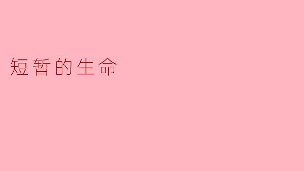 生命的短暂与珍贵