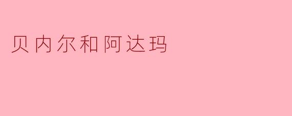 贝内尔和阿达玛