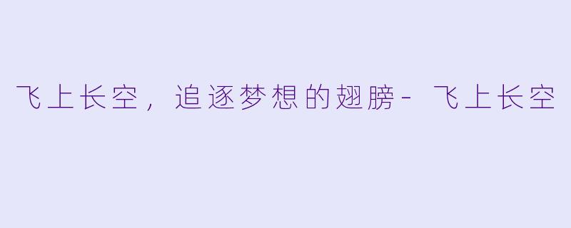 飞上长空，追逐梦想的翅膀-飞上长空
