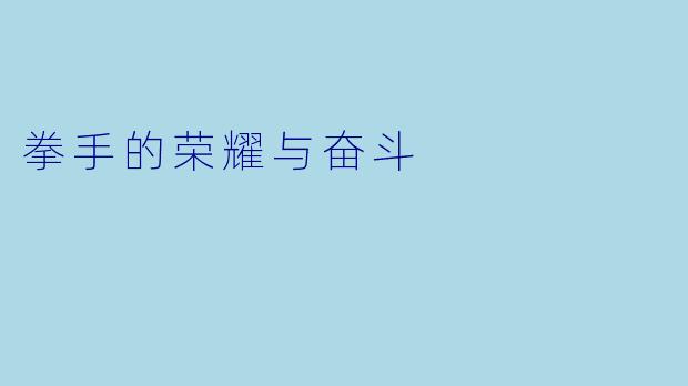 拳手的荣耀与奋斗