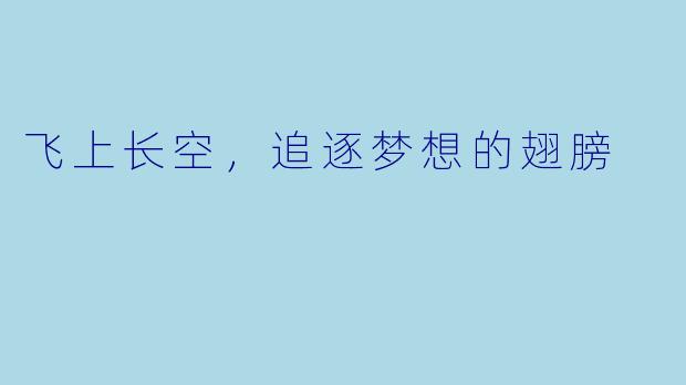 飞上长空，追逐梦想的翅膀