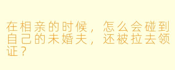 在相亲的时候，怎么会碰到自己的未婚夫，还被拉去领证？