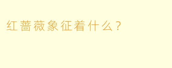 红蔷薇象征着什么？