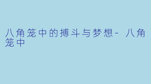 八角笼中的搏斗与梦想-八角笼中