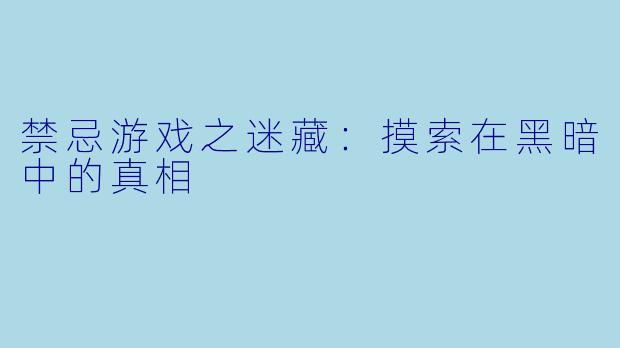 禁忌游戏之迷藏：摸索在黑暗中的真相