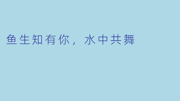 鱼生知有你,水中共舞