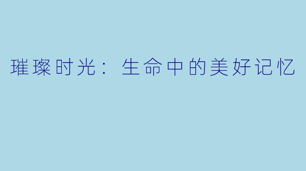 璀璨时光:生命中的美好记忆