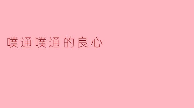 噗通噗通的良心
