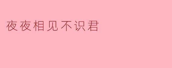 夜夜相见不识君