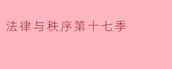 法律与秩序第十七季