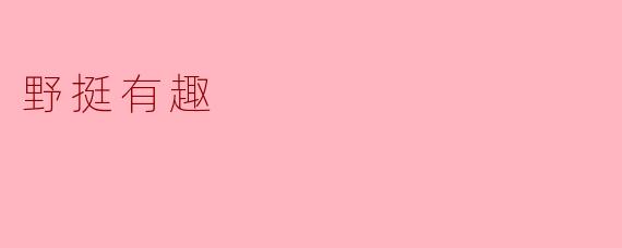 野挺有趣