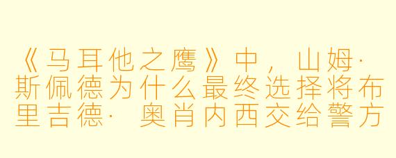 《马耳他之鹰》中，山姆·斯佩德为什么最终选择将布里吉德·奥肖内西交给警方，尽管他可能对她有感情？