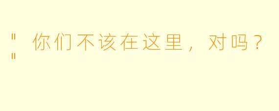 "你们不该在这里，对吗？"