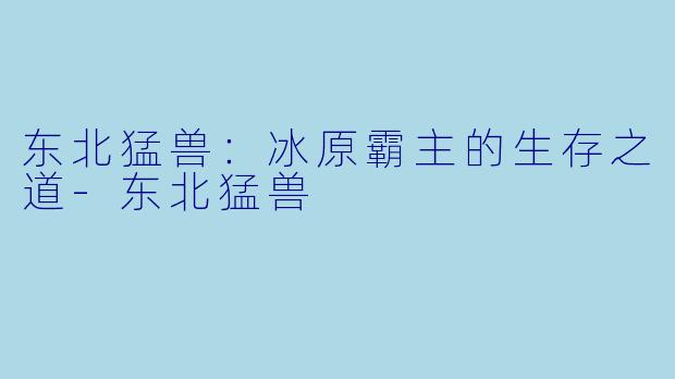 东北猛兽：冰原霸主的生存之道-东北猛兽