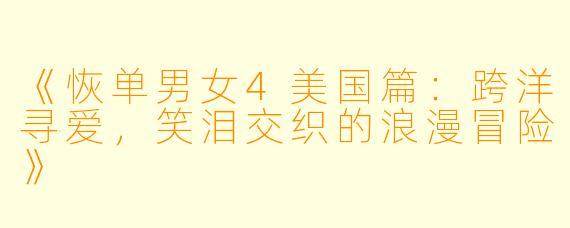 《恢单男女4美国篇：跨洋寻爱，笑泪交织的浪漫冒险》