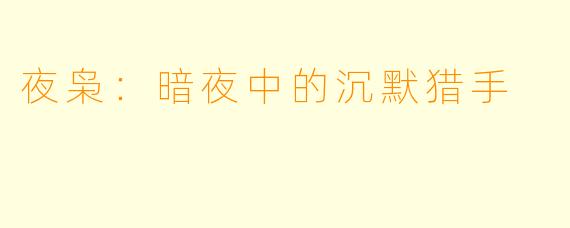 夜枭：暗夜中的沉默猎手