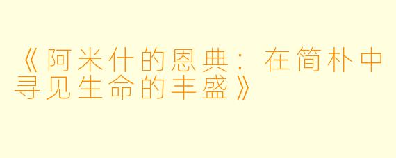 《阿米什的恩典：在简朴中寻见生命的丰盛》