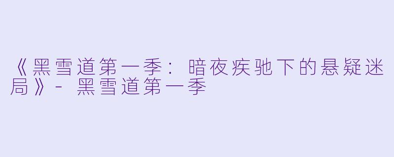 《黑雪道第一季：暗夜疾驰下的悬疑迷局》