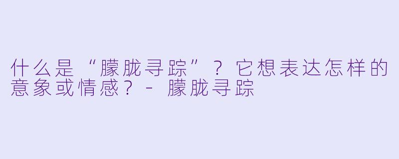什么是“朦胧寻踪”?它想表达怎样的意象或情感?