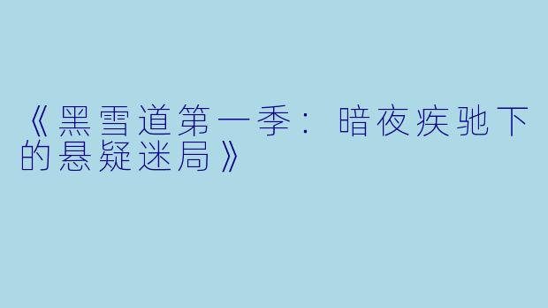 《黑雪道第一季：暗夜疾驰下的悬疑迷局》
