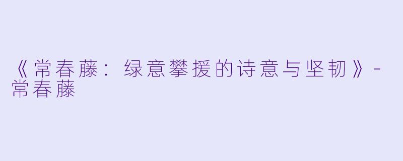 《常春藤：绿意攀援的诗意与坚韧》-常春藤