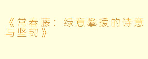 《常春藤:绿意攀援的诗意与坚韧》