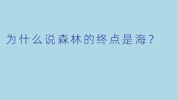 为什么说森林的终点是海？