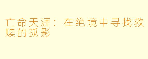 亡命天涯：在绝境中寻找救赎的孤影