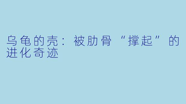 乌龟的壳：被肋骨“撑起”的进化奇迹